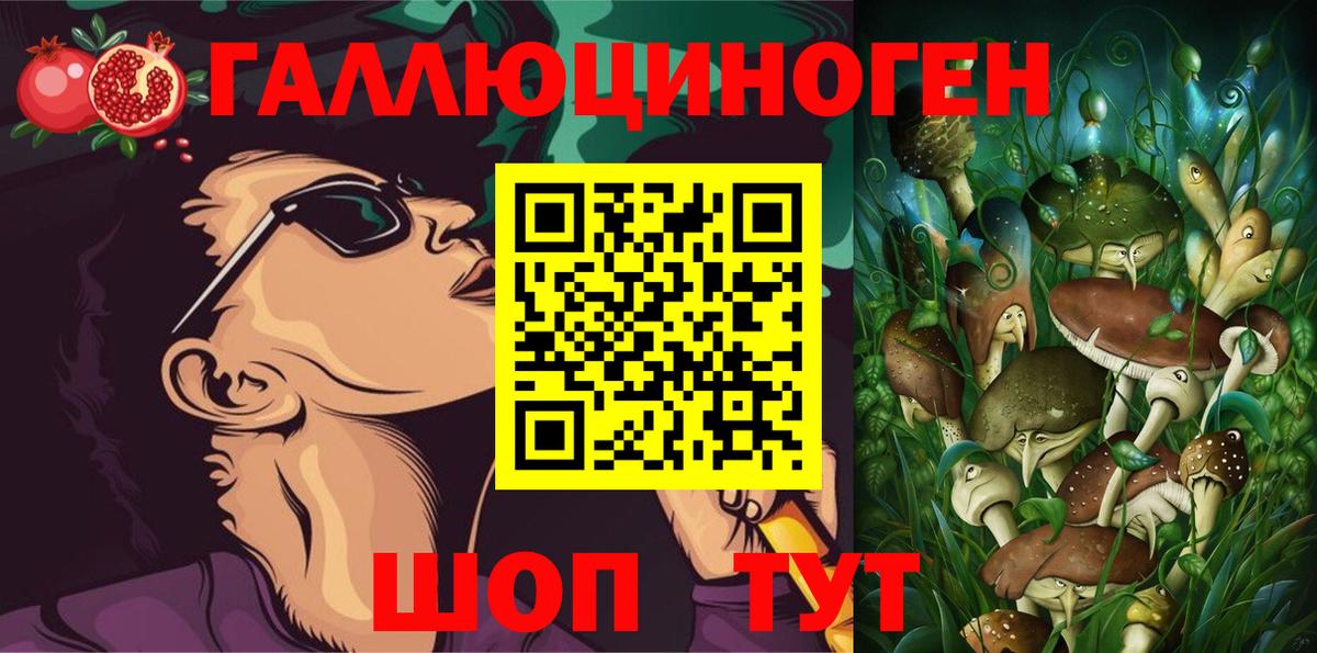 Галлюциногенные грибы Psilocybine cubensis Бор