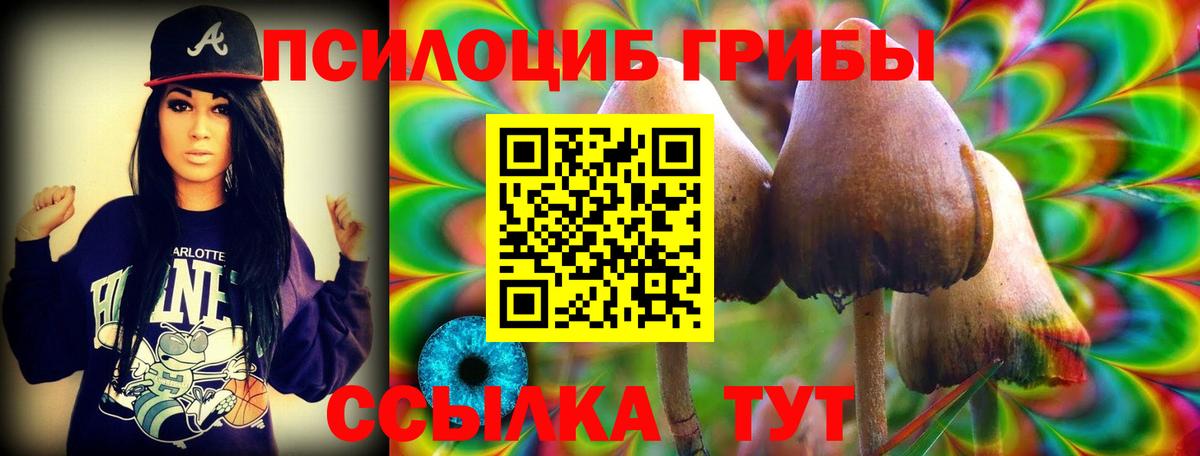 где продают наркотики  Галлюциногенные грибы мицелий  Вход с VPN  Галлюциногенные грибы ЛСД  Бор 